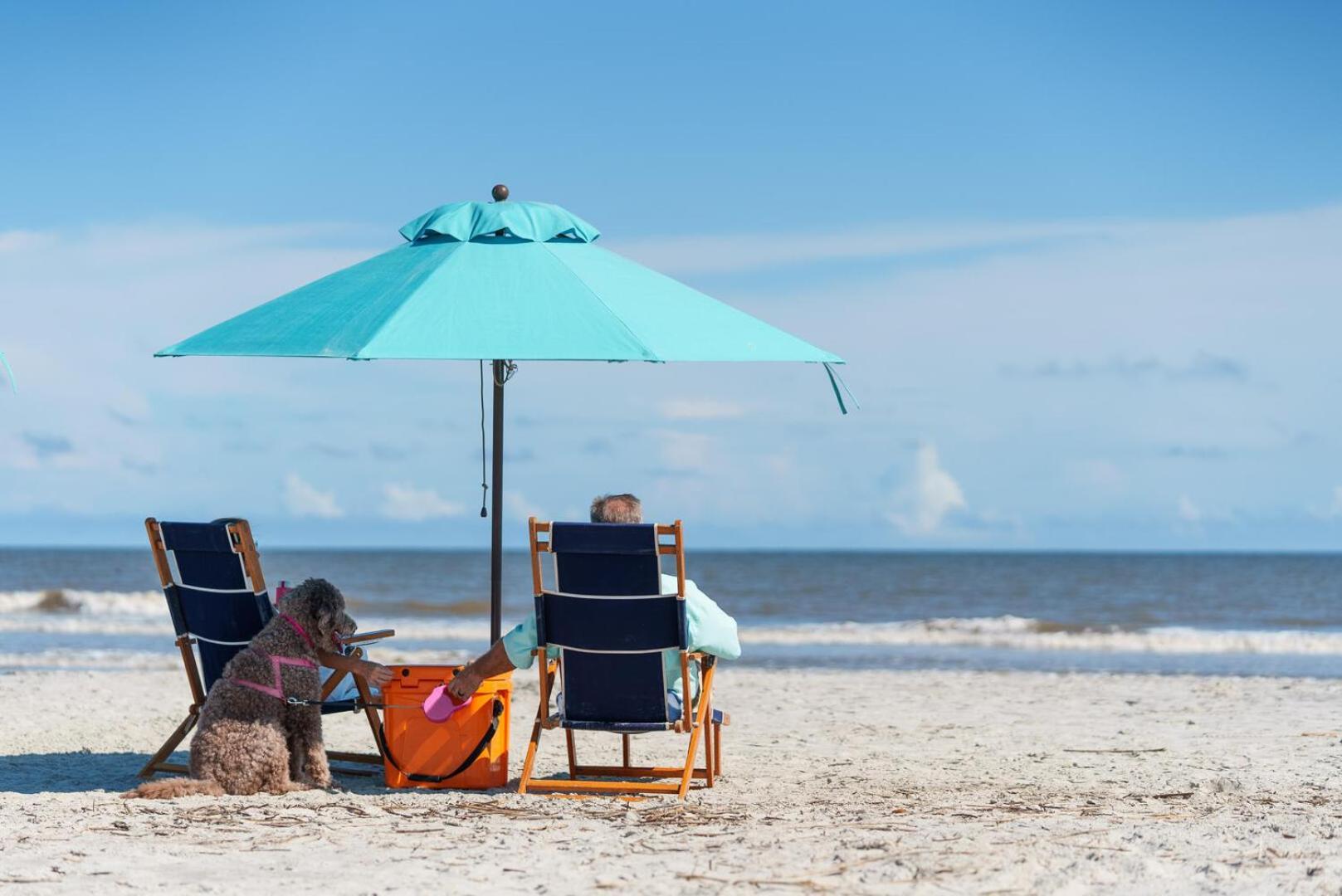 412 Tarpon Blvd Villa Fripp Island Ngoại thất bức ảnh